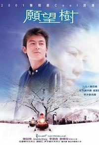 愿望树
