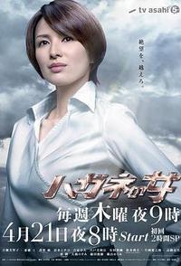 钢之女
