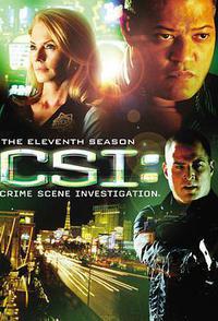 犯罪现场调查 第十一季