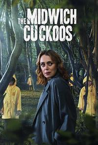 米德威奇布谷鸟