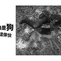 奥莉佛是狗，（天哪！！）这家伙 续篇