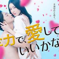 可以全力去爱吗?