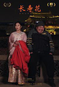 长寿花