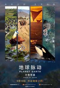 地球脉动：万物有道