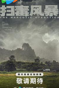 扫毒风暴