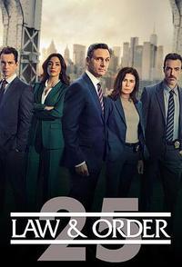 法律与秩序 第二十五季