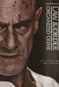 法律与秩序：组织犯罪 第五季