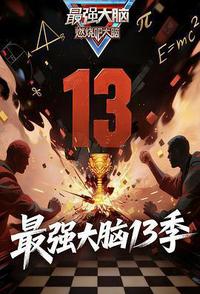 最强大脑 第十三季