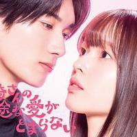 黑崎先生停不下来的专一之爱