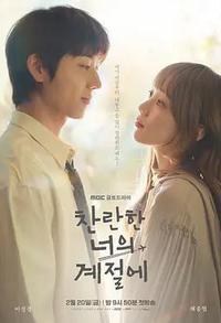 在你灿烂的季节