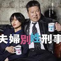 夫妇别姓刑警
