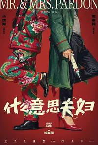 什么意思夫妇