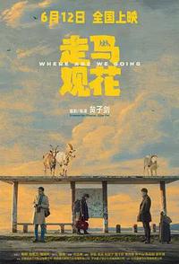 走马观花